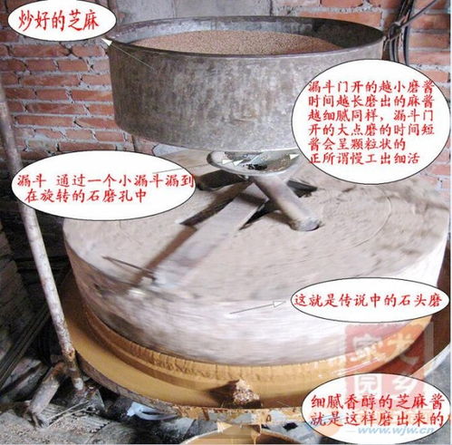 文軒直銷(xiāo)落地襄陽(yáng) 花椒研磨機(jī)與一體石磨香油機(jī)多維賦能礦物加工創(chuàng)新