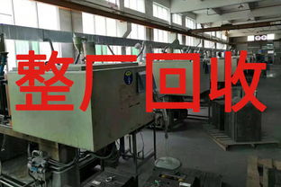明智之選 如何嚴(yán)謹(jǐn)評(píng)估東莞整廠(chǎng)回收與寄賣(mài)服務(wù)方案